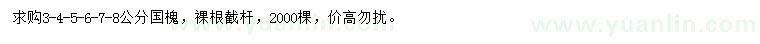 求購(gòu)3-8公分國(guó)槐