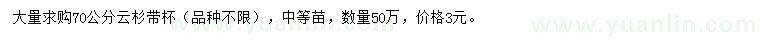 求購70公分云杉
