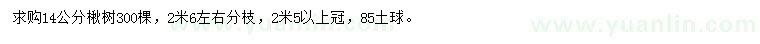 求購14公分楸樹