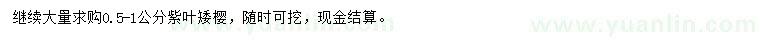 求購0.5-1公分紫葉矮櫻