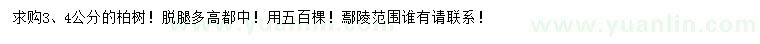 求購(gòu)3、4公分柏樹(shù)