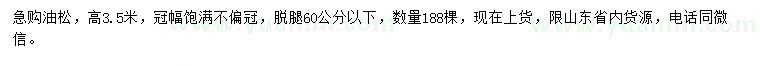 求購高3.5米油松