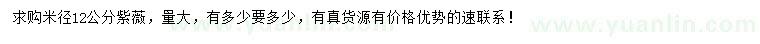 求購米徑12公分紫薇