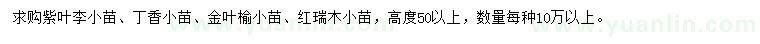 求購(gòu)紫葉李、丁香、金葉榆等