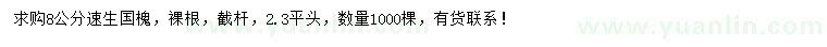求購8公分速生國槐