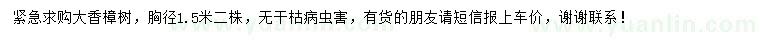 求購胸徑1.5米大香樟樹