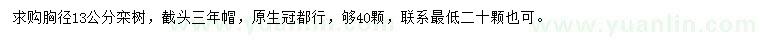 求購胸徑13公分欒樹