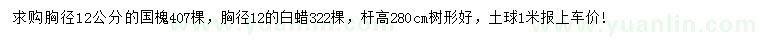 求購胸徑12公分國槐、白蠟