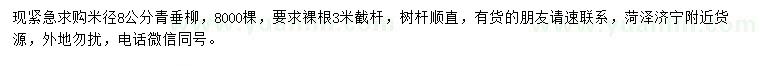 求購(gòu)米徑8公分青垂