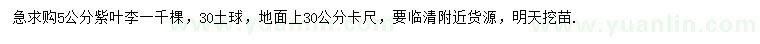 求購5公分紫葉李