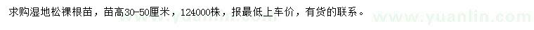 求購(gòu)高30-50公分濕地松