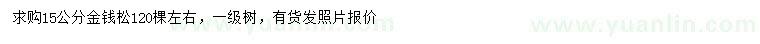 求購15公分金錢松
