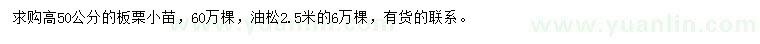 求購高50公分板栗小苗、2.5米油松