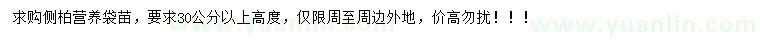 求購(gòu)高度30公分以上側(cè)柏苗