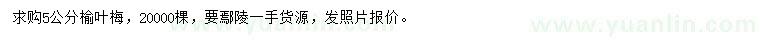 求購5公分榆葉梅