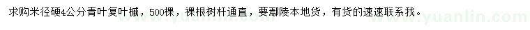 求購米徑硬4公分青葉復葉槭
