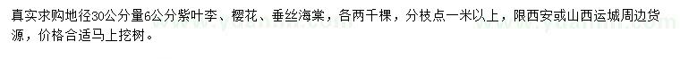 求購紫葉李、櫻花、垂絲海棠