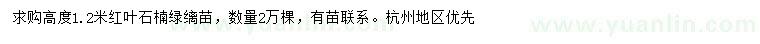 求購高1.2米紅葉石楠