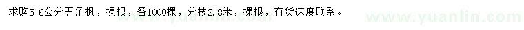 求購5-6公分五角楓