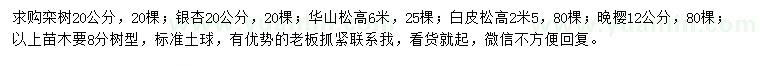 求購(gòu)欒樹、銀杏、華山松等