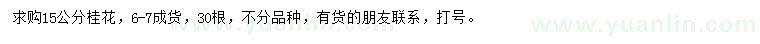 求購15公分桂花