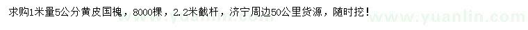 求購(gòu)1米量5公分黃皮國(guó)槐