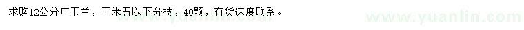 求購(gòu)12公分廣玉蘭