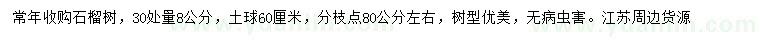 求購(gòu)30量8公分石榴樹(shù)