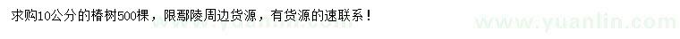 求購10公分椿樹