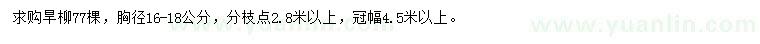 求購胸徑16-18公分旱柳