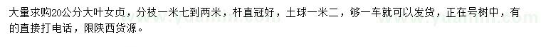 求購20公分大葉女貞