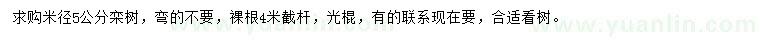 求購(gòu)米徑5公分欒樹(shù)