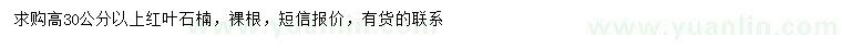 求購高30公分以上紅葉石楠小苗