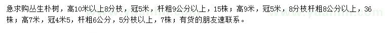 求購高7、9、10米以上叢生樸樹