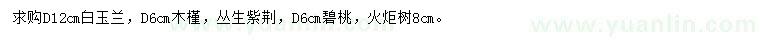 求購白玉蘭、木槿、叢生紫荊等