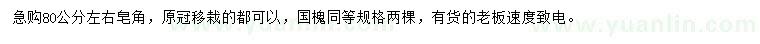 求購(gòu)80公分左右皂角、國(guó)槐