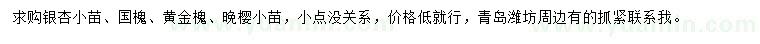 求購(gòu)銀杏小苗、國(guó)槐、黃金槐等