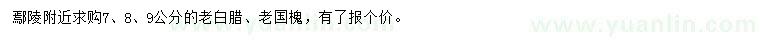 求購7、8、9公分老白臘、老國槐