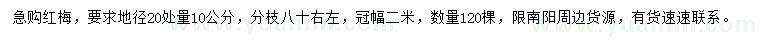 求購(gòu)地徑20量10公分紅梅