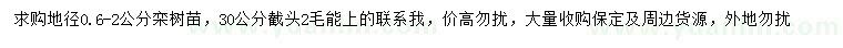 求購(gòu)地徑0.6-2公分欒樹(shù)小苗