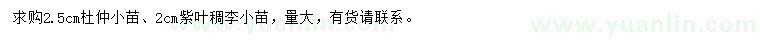 求購2.5公分杜仲小苗、2公分紫葉稠李小苗