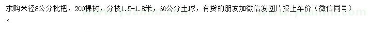 求購米徑8公分枇杷