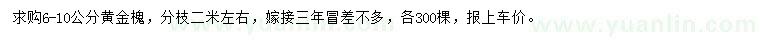 求購6-10公分黃金槐