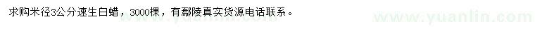 求購(gòu)米徑3公分速生白蠟