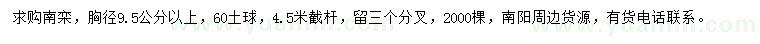 求購胸徑9.5公分以上南欒