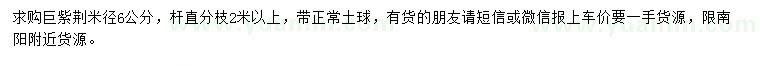 求購米徑6公分巨紫荊