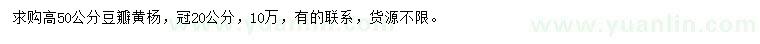 求購高50公分豆瓣黃楊
