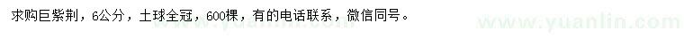 求購6公分巨紫荊