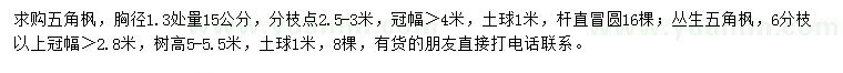求購(gòu)胸徑1.3米量15公分五角楓、叢生五角楓