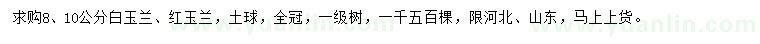 求購8、10公分白玉蘭、紅玉蘭